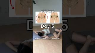 Day5 이 스트레칭의 놀라운 효과 lowerbody stretch