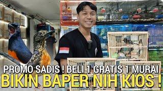 EDAN  MURAI PRESTASI AN BELI 1 GRATIS 1 BIKIN BAPER NIH KIOS BUKAN DI PASAR BURUNG PRAMUKA