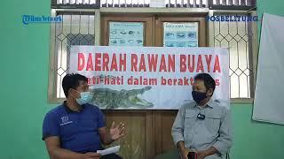 Konflik Buaya vs Manusia Perbincangan Bersama BKSDA Belitung