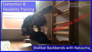 Contortion Training by Flexyart 219 Wallbar Contortion - Also for Yoga Poledance Ballet Dance