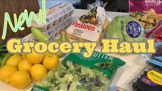 ALDI & WALMART GROCERY HAUL