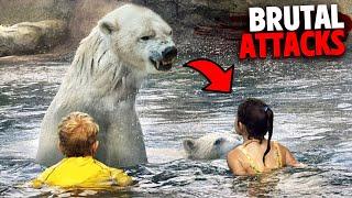 The Most BRUTAL Polar Bear Attacks MARATHON