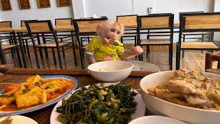 Fruit harvest done Dad invited BiBi monkey to eat at a restaurant