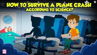 Airplane Safety Instructions  How to Survive Plane Crash?  Air Disasters Tips  Dr. Binocs Show