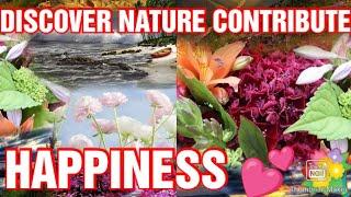 DISCOVERING ALL OF THE WAYS THAT NATURE CONTRIBUTES TO OUR HAPPINESS HEALTH AND  RELATIONSHIPS