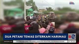 Dua Petani di Lampung Barat Tewas Diterkam Harimau