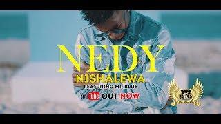 Nedy Music ft Mr Blue - Nishalewa  Official Music Video 