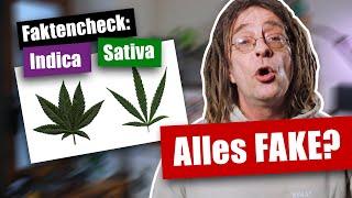 Alles FAKE? - Was Sativa und Indica WIRKLICH bedeuten