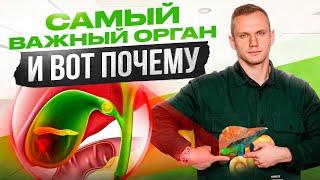 С желчью нужно работать ВСЕМ ТОП 7 продуктов для улучшения оттока желчи