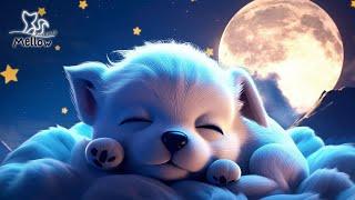 Deep Sleep and Quick Rest Experience Relaxing Music and Piano Music In 3 Minutes