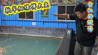 第一次挑戰台江釣蝦場的珍珠石斑池！發現這個到方法讓魚都拉不停啊！