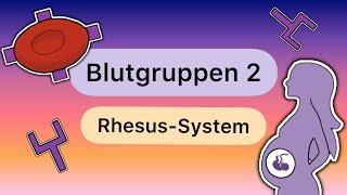 Blutgruppen TEIL 2 Das RHESUS-SYSTEM