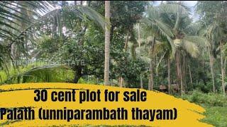 Kozhikode palath unniparambath thayam 30 cent plot for sale