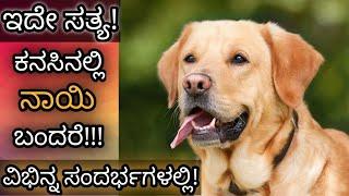 ಕನಸಿನಲ್ಲಿ ನಾಯಿ ಬಂದರೆ  Kanasinalli Nayi Bandare  Dog in Dream Analysis & Meaning  Dreambook