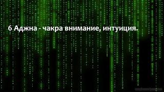 6 Аджна - чакра внимание интуиция.  Железы - гипофиз гипоталамус таламус и эпифиз шишковидная.