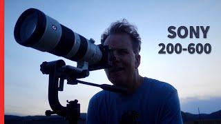 Sony 200-600 Lens for Wildlife Features Missing from Sigma & Tamron