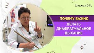 ПОЧЕМУ ВАЖНО КАЖДЫЙ ДЕНЬ ДЕЛАТЬ ДИАФРАГМАЛЬНОЕ ДЫХАНИЕ. Шишова О.И.