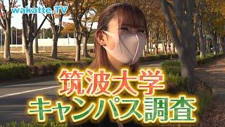 あらゆる面で開かれた大学！筑波大キャンパス調査！！【wakatte.TV】#455