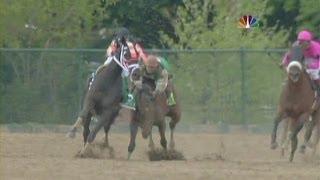 2005 Preakness Stakes