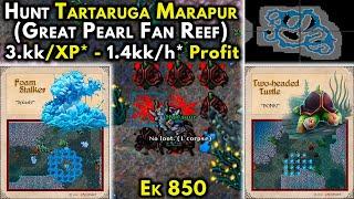 Hunt Tartaruga Marapur Great Pearl Fan Reef - 3.kkXP* - 1.4kkh* Profit