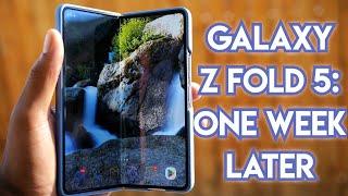 GALAXY Z FOLD 5 1 WEEK LATER