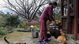 Winter daily life at a country house in the mountains of Korea