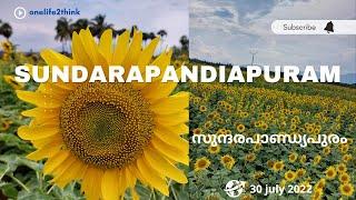 V25  Route to Sundarapandiapuram  Sunflower Garden  Tenkasi  Courtallam Waterfalls