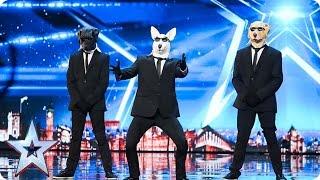 Paws with Soul break it down to Bruno Mars  Auditions Week 1  Britain’s Got Talent 2017