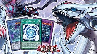 Blue-Eyes Can FINALLY Summon Dragon Magia Master With These NEW Cards Yu-Gi-Oh