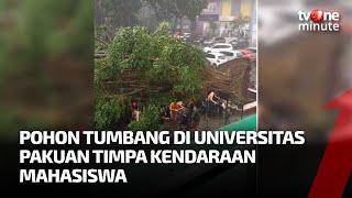 Akibat Hujan Deras Pohon Beringin di Universitas Pakuan Tumbang  tvOne Minute