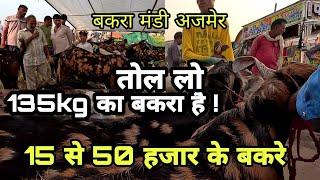 बकरे बेचने आए या बड़ी-बड़ी फेंकने आए  bakra mandi ajmer 2023  eid goat mandi ajmer  pkraj vlogs