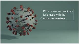 Pfizer vaccine explained