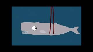 Colossal Squid VS Sperm WhaleLate 100 sub special