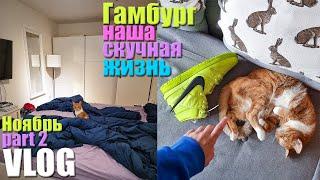 VLOG. Жизнь в Германии. Супермаркет. Искусство. Новая квартира в Гамбурге. Nike Ambush.