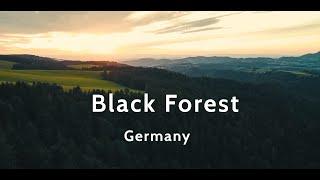 Our Trip to the Black Forest - Travel by motorbike