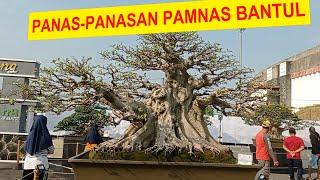 #149 PAMNAS BANTUL