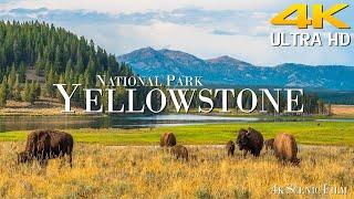 Yellowstone National Park 4K Ultra HD • Stunning Footage \ Scenic Relaxation Film 4K \ Calming Music