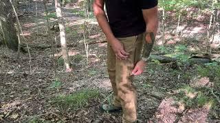 The Best Hunting Pant for 2024 First Lite 308 Pant