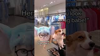CAT MEMES Going shopping with my girlfriend #catmemes #relatable #relationship #shorts