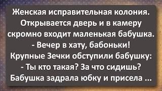 Поручик Раскукожил Горничную Графини Сборник Самых Свежих Анекдотов