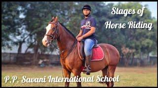 Stages of Horse Riding Demonstrated by PP Savani Horse Riding School Surat