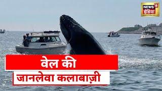 America News  बाल-बाल बचे नाव में सवार लोग video social media पर viral