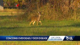 Deadly deer disease could be linked to hunter deaths study finds