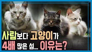 일본 반려동물의 역습 KBS_364회_2024.07.13.방송