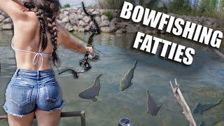 BOW FISHING CLEAR WATER FOR FATTIES  Bowmar Bowhunting