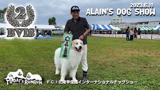 【BVIS 2nd】アランのドッグショー FCI北陸甲信越インターナショナルドッグショー　Great Pyrenees　グレートピレニーズ