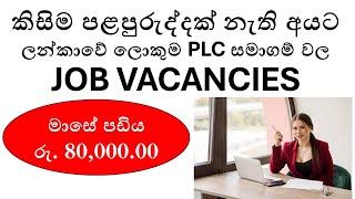 Top Job Vacancies in Sri Lanka 2024 for Beginners  No Experience Needed