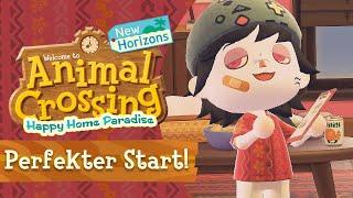 SO STARTET ihr PERFEKT ins NEUE Happy Home Paradise DLC » Animal Crossing New Horizons 