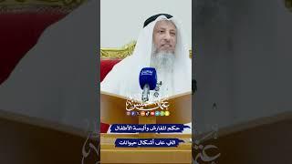 حكم المفارش وألبسة الأطفال التي على أشكال حيوانات - عثمان الخميس