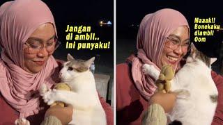 Gemes Banget Bonekanya Diambil Orang Kucing Lucu Ini Ngambek & Ngadu ke Majikan Kucing Yoyo Lucu